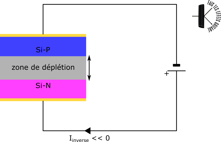 En polarisant une jonction PN en inverse, la zone de déplétion croît en largeur. Le courant inverse est très faible. C'est un courant de fuite.